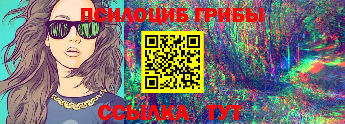 Звенигород  Псилоцибиновые грибы GOLDEN TEACHER  Вход с VPN  Псилоцибиновые грибы Psilocybine cubensis 