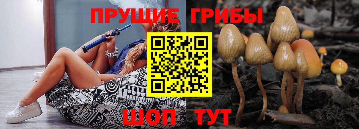 Псилоцибиновые грибы Cubensis Звенигород